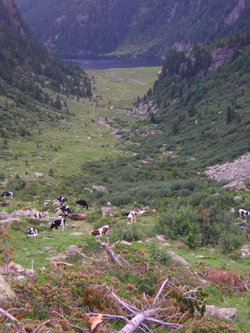 valle Lagorai, verso il lago Lagorai